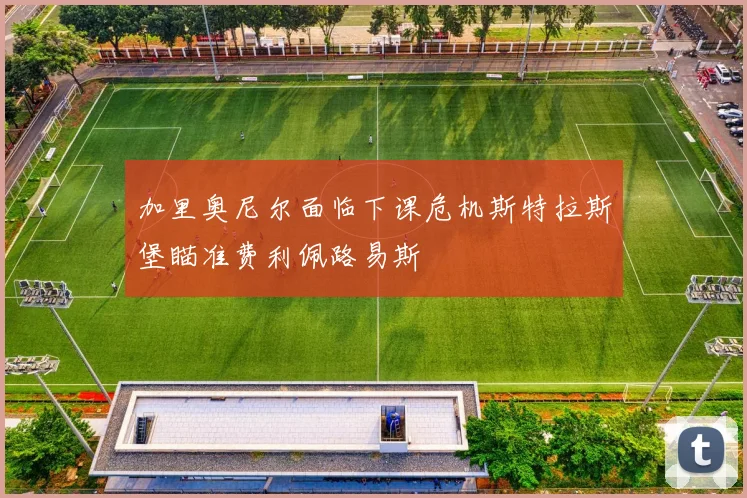 加里奥尼尔面临下课危机斯特拉斯堡瞄准费利佩路易斯