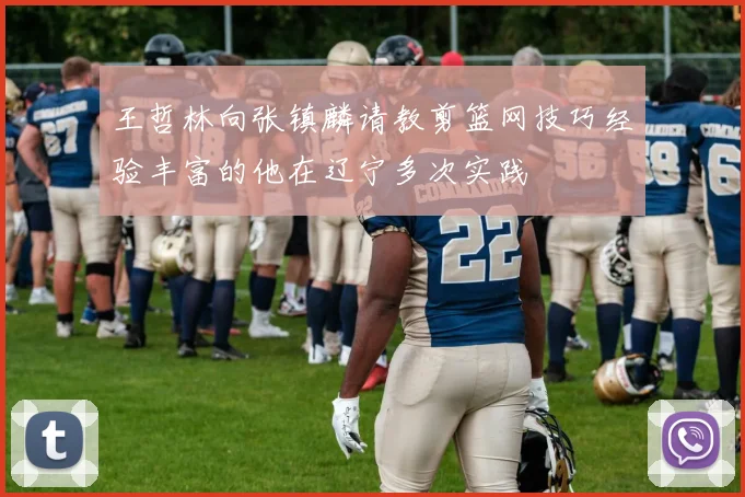 王哲林向张镇麟请教剪篮网技巧经验丰富的他在辽宁多次实践
